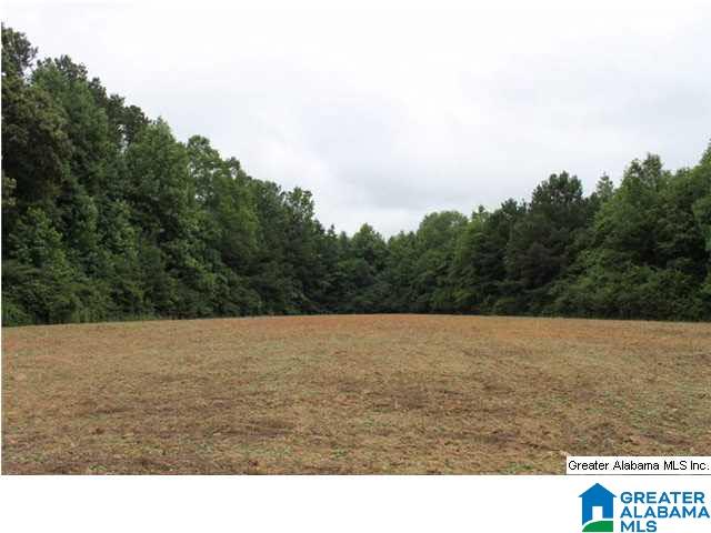 1782 County Road 98 Ranburne, AL 36273 - Photo 3 of 15