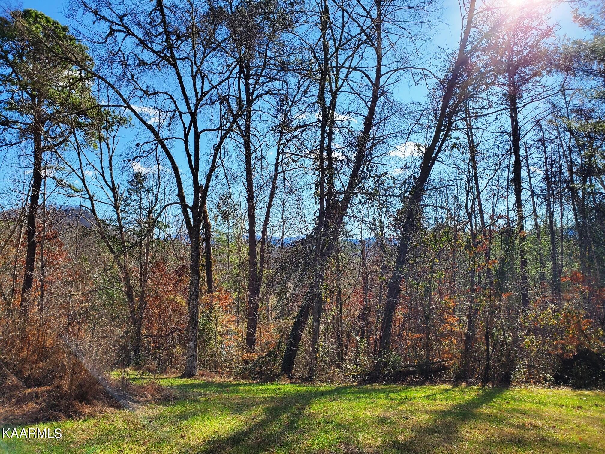 815 Rudd Hollow Road Townsend, TN 37882 - Photo 20 of 20 20221216_113856_resized