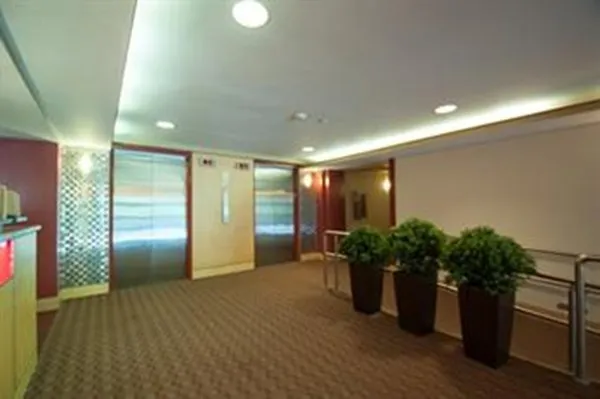 a room with furniture potted plant and wooden floor