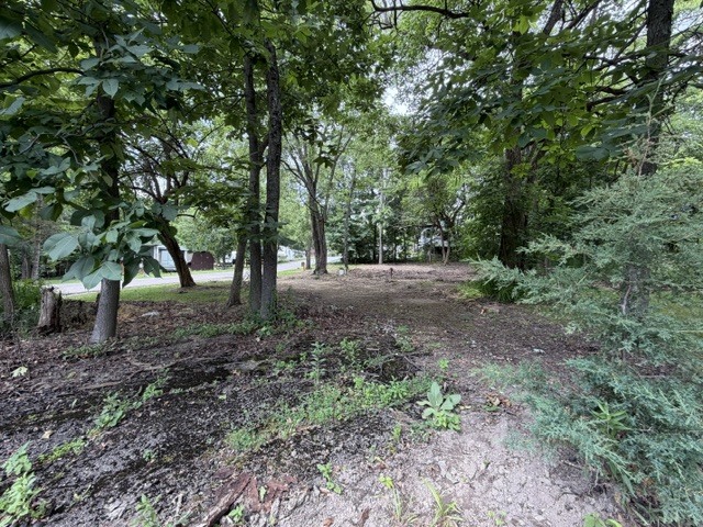 2795 East 28th Road Marseilles, IL 61341 - Photo 4 of 47