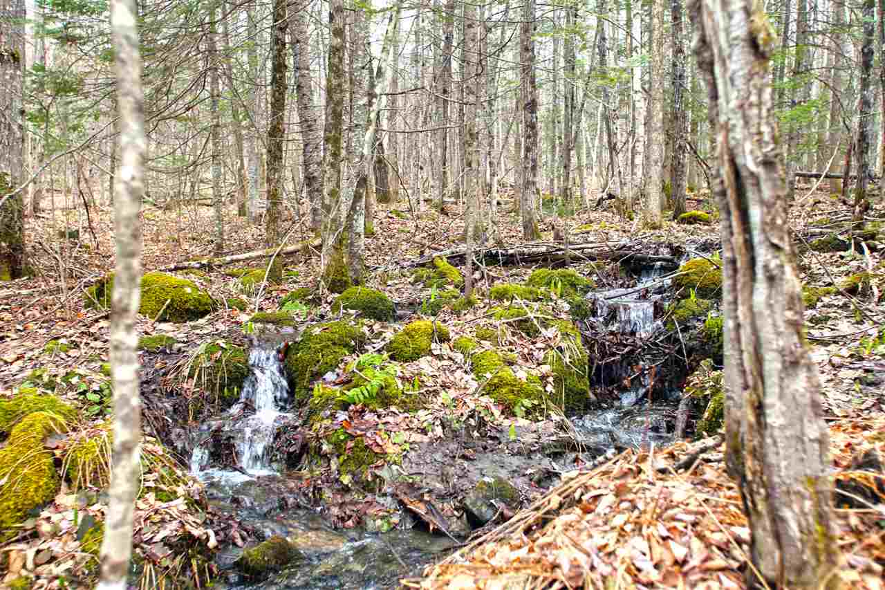 550 Johnson Road Concord, VT 05824 - Photo 14 of 40