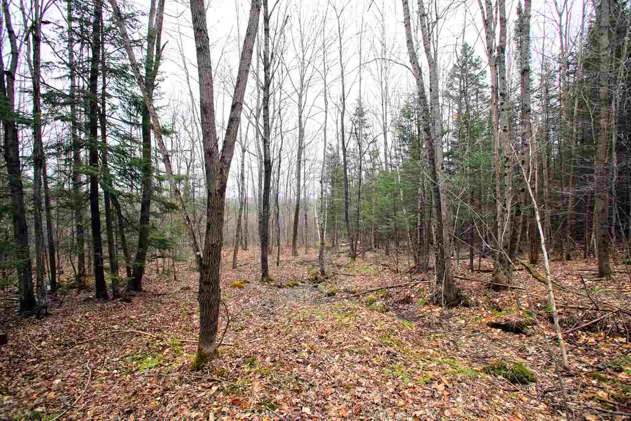 550 Johnson Road Concord, VT 05824 - Photo 19 of 40
