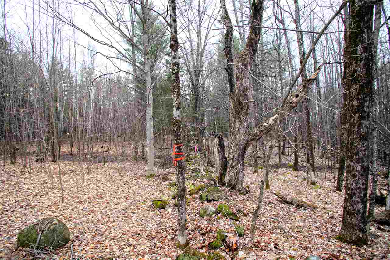 550 Johnson Road Concord, VT 05824 - Photo 37 of 40