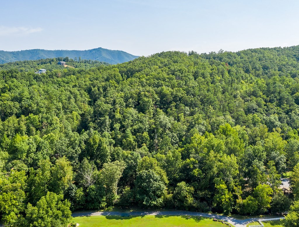 0 Sonshine Ridge Cosby, TN 37722 - Photo 21 of 29 a view of a lush green forest with trees in the background