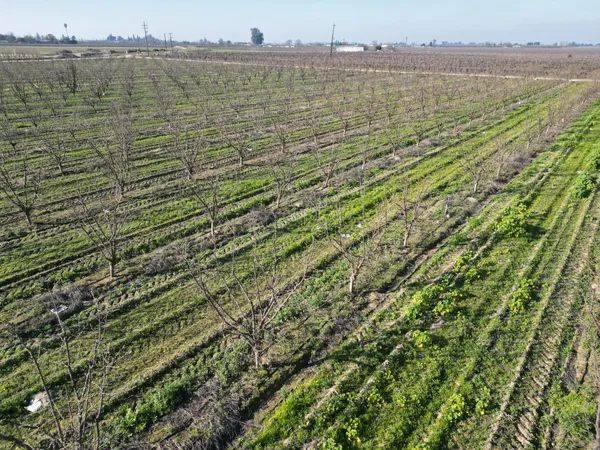 a view of a lake from a yard