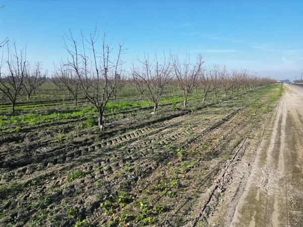 a view of a yard with wooden fence