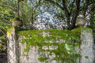 210 Uplands Drive Hillsborough, CA 94010 - Photo 5 of 12 a view of a garden