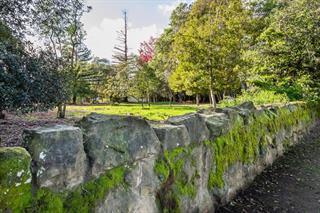 210 Uplands Drive Hillsborough, CA 94010 - Photo 8 of 12 a view of a big yard with large trees