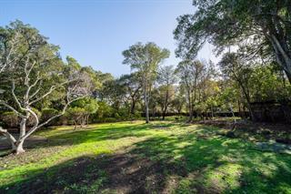 210 Uplands Drive Hillsborough, CA 94010 - Photo 9 of 12 a view of a park with large trees