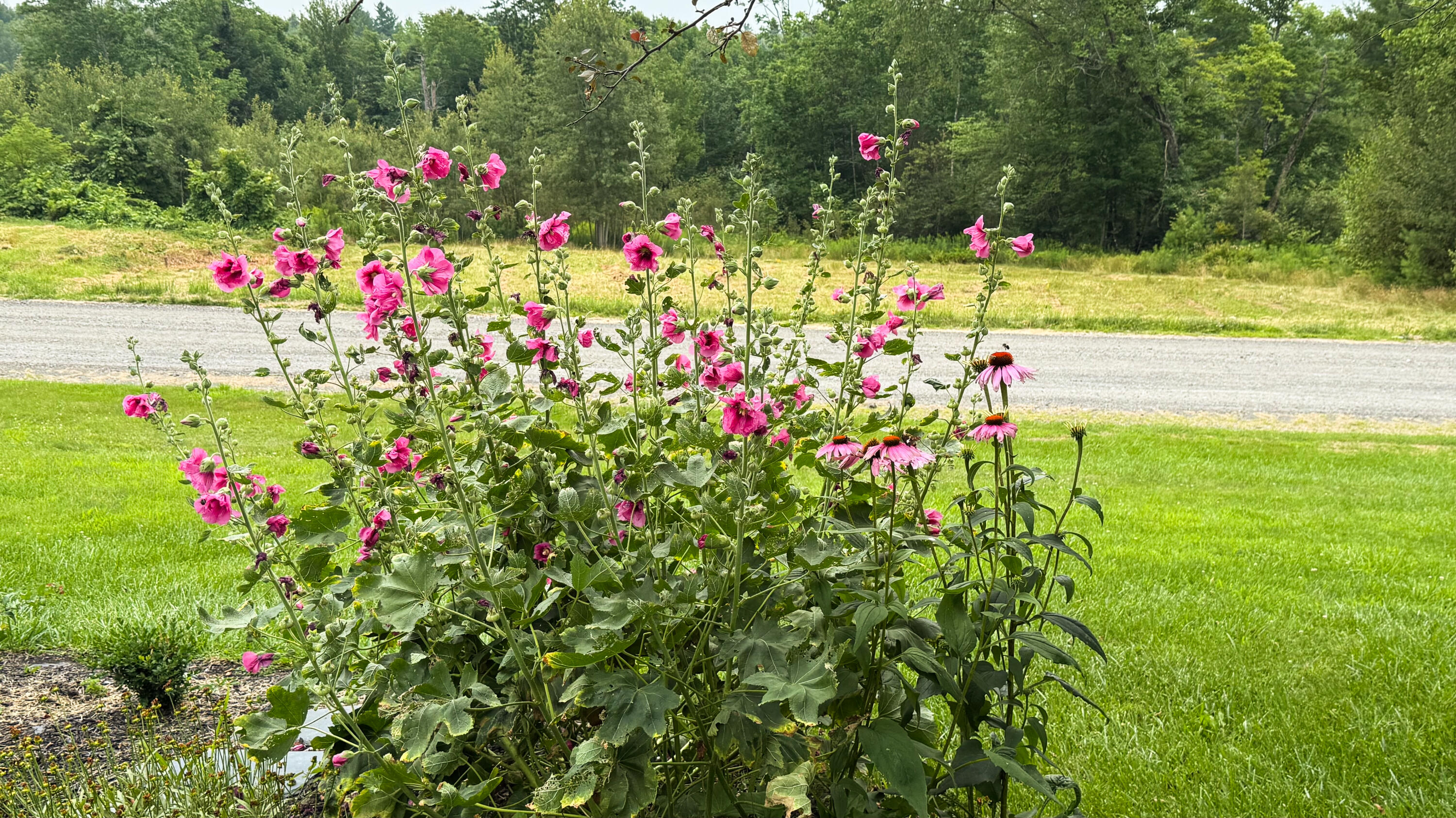 50 Glass Hill Road Guilford, ME 04443 - Photo 11 of 112 11