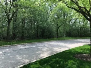 a view of backyard with green space