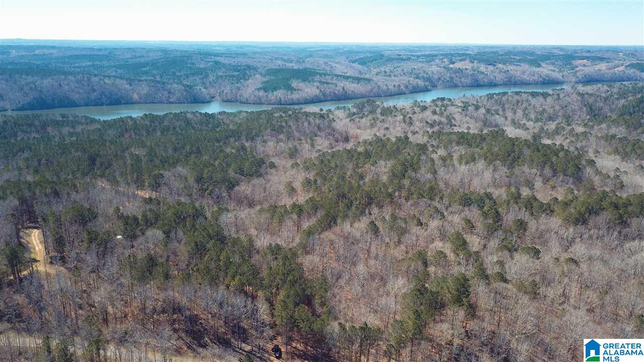 0 Sleepy Hollow Road, Unit 75 Rockford, AL 35136 - Photo 33 of 33