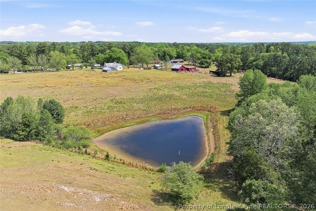 249 Nicholson Road Rockingham, NC 28379 - Photo 40 of 47 a view of outdoor space and yard