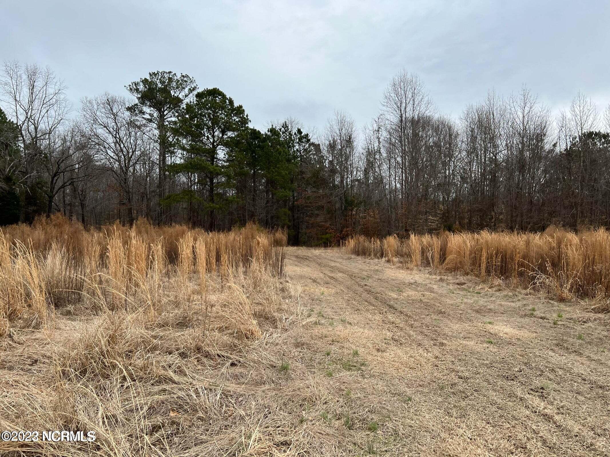 1506 Off State Road Washington, NC 27889 - Photo 5 of 23 20220208183332318910000000-o