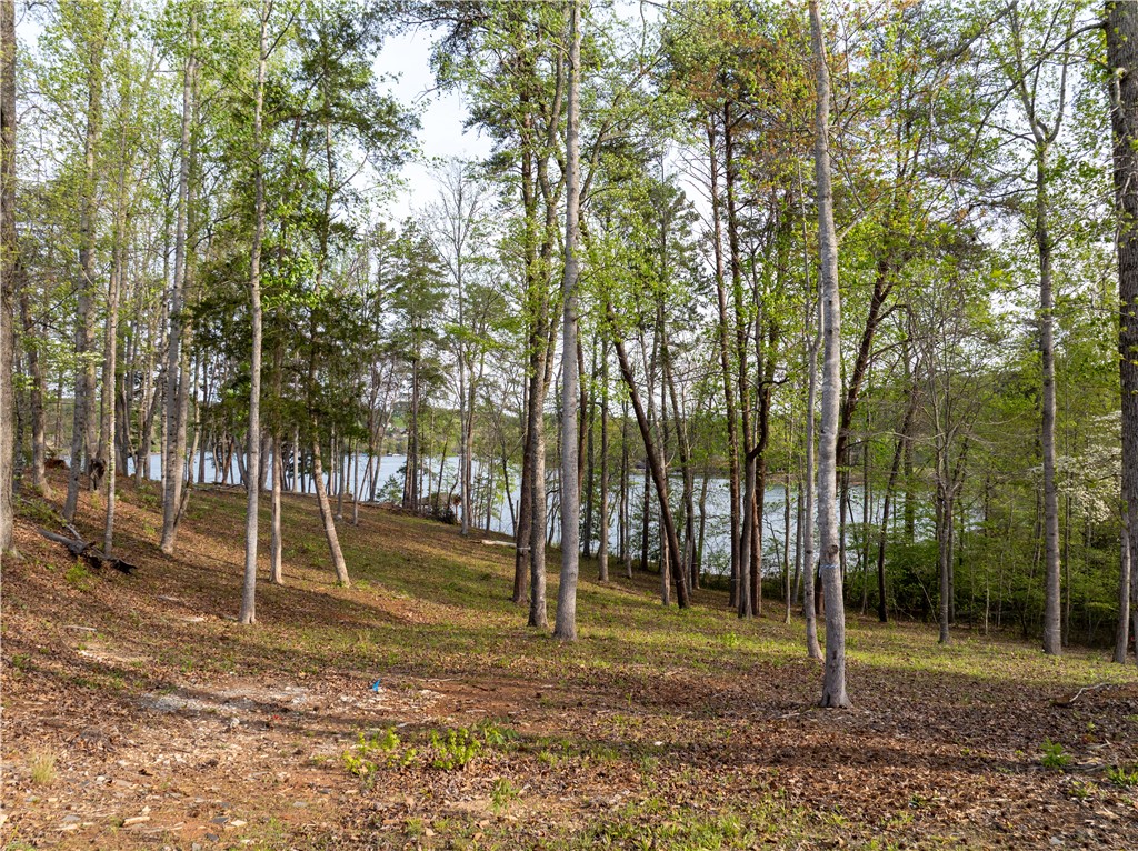 390 Peninsula Ridge Sunset, SC 29685 - Photo 18 of 35