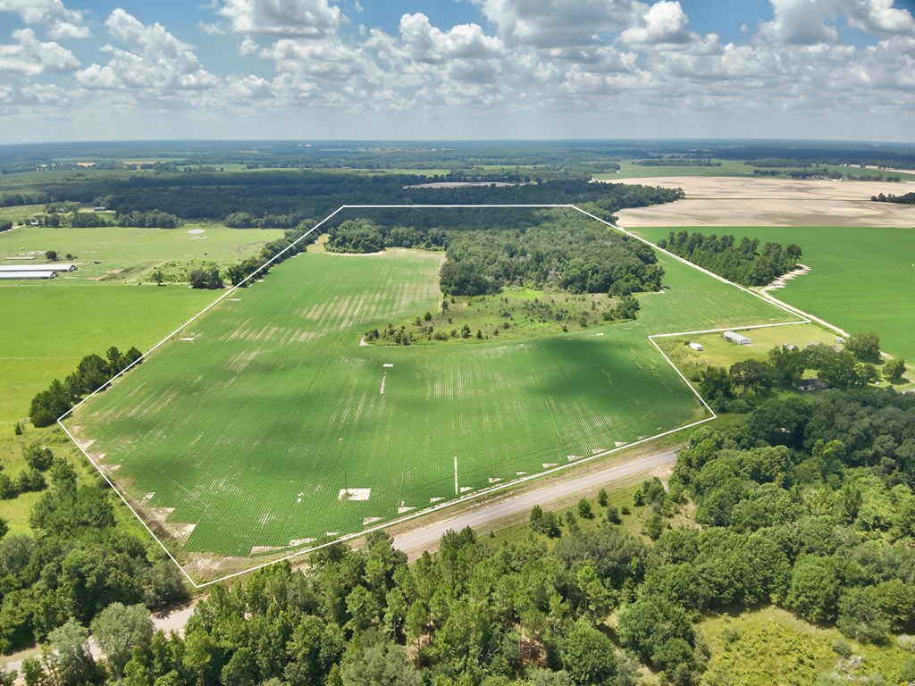 92-acres Bazemore Mill Pond Road Gordon, AL 36343 - Photo 2 of 15