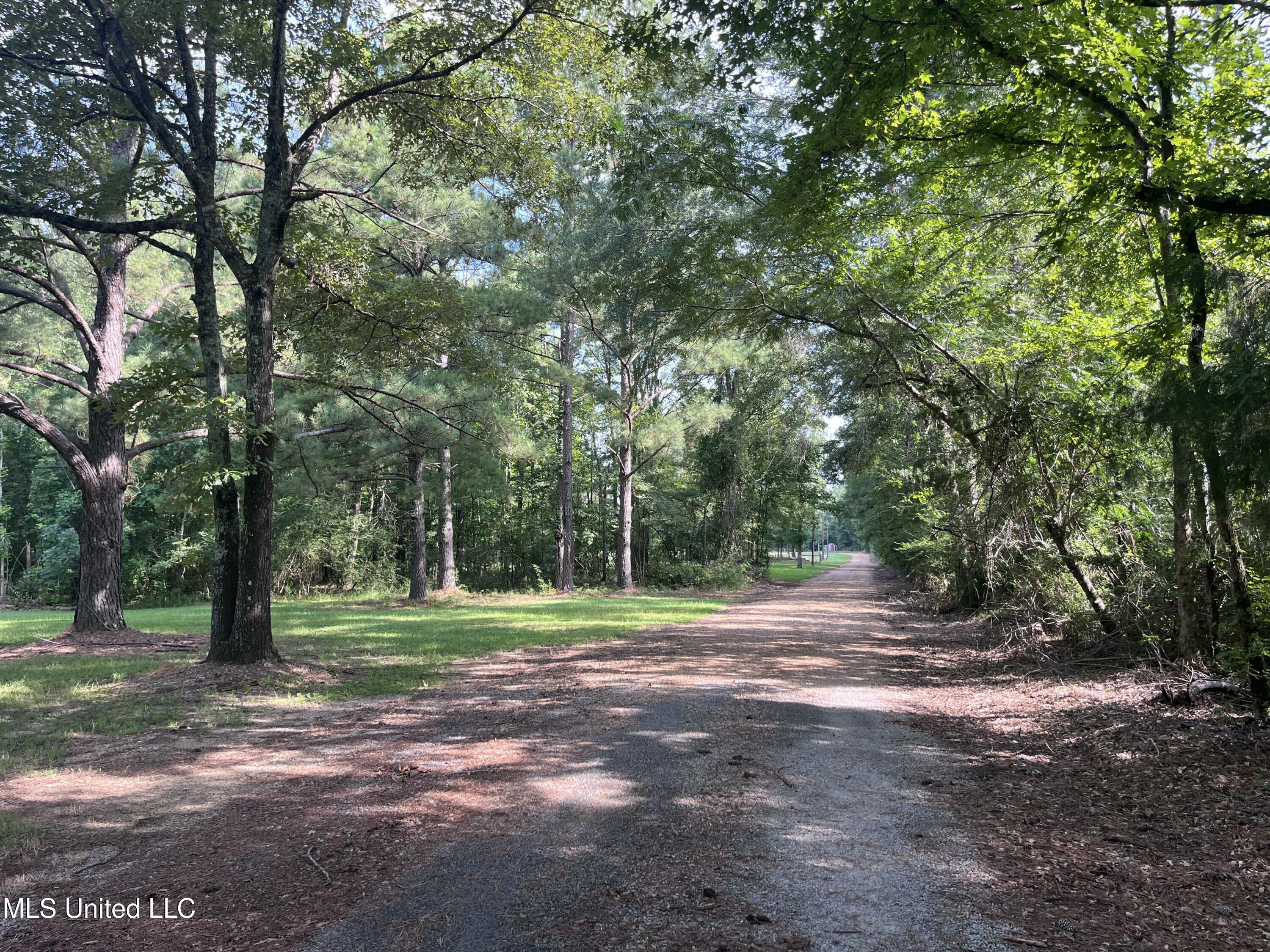 297 Barnes Road Florence, MS 39073 - Photo 170 of 170 IMG_8482