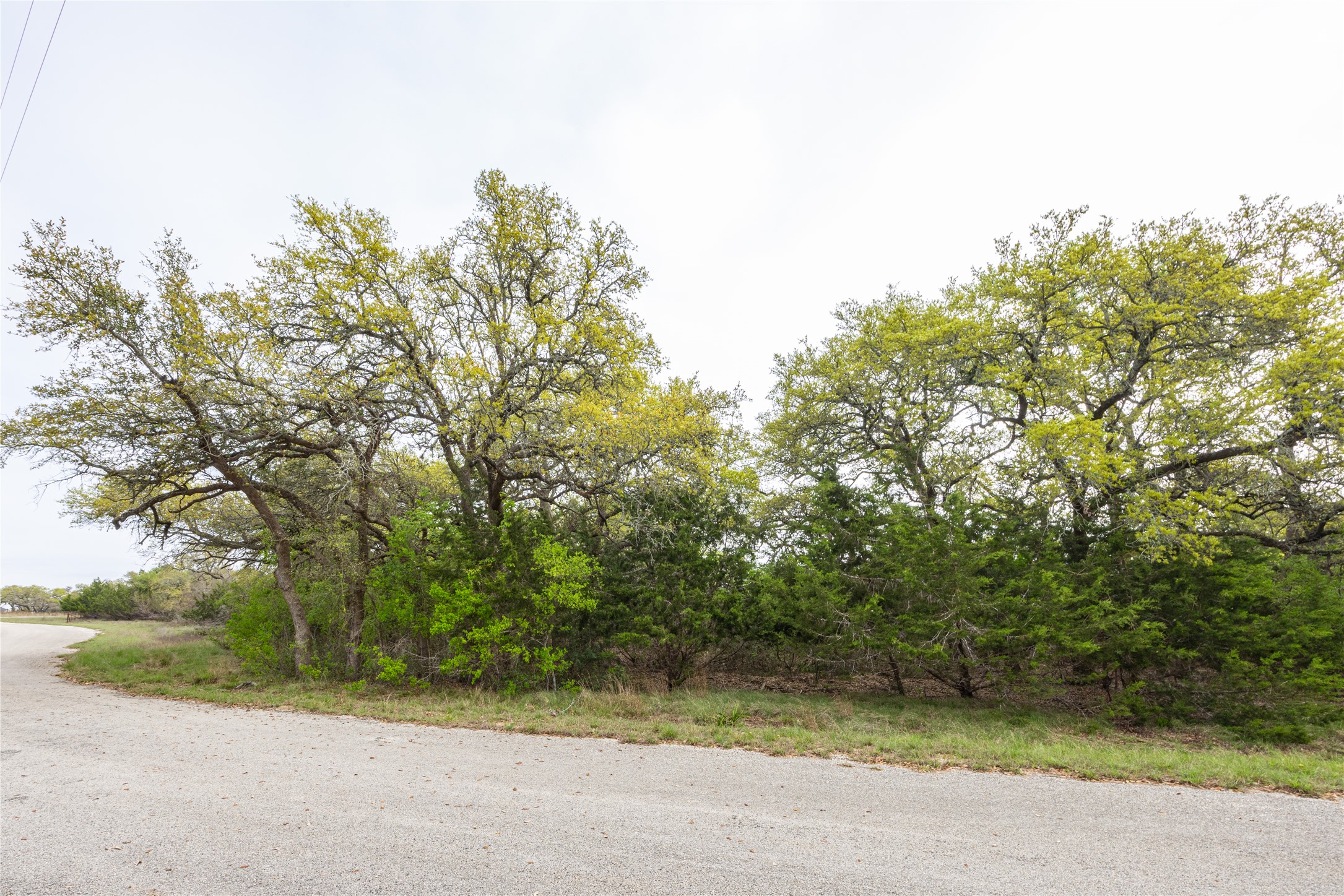 Tbd Tbd Logan's Way Blanco, TX 78606 - Photo 23 of 25 View of street