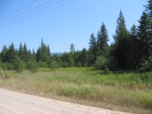 1 East River Road Priest River, ID 83856 - Photo 1 of 1 lot 5 10