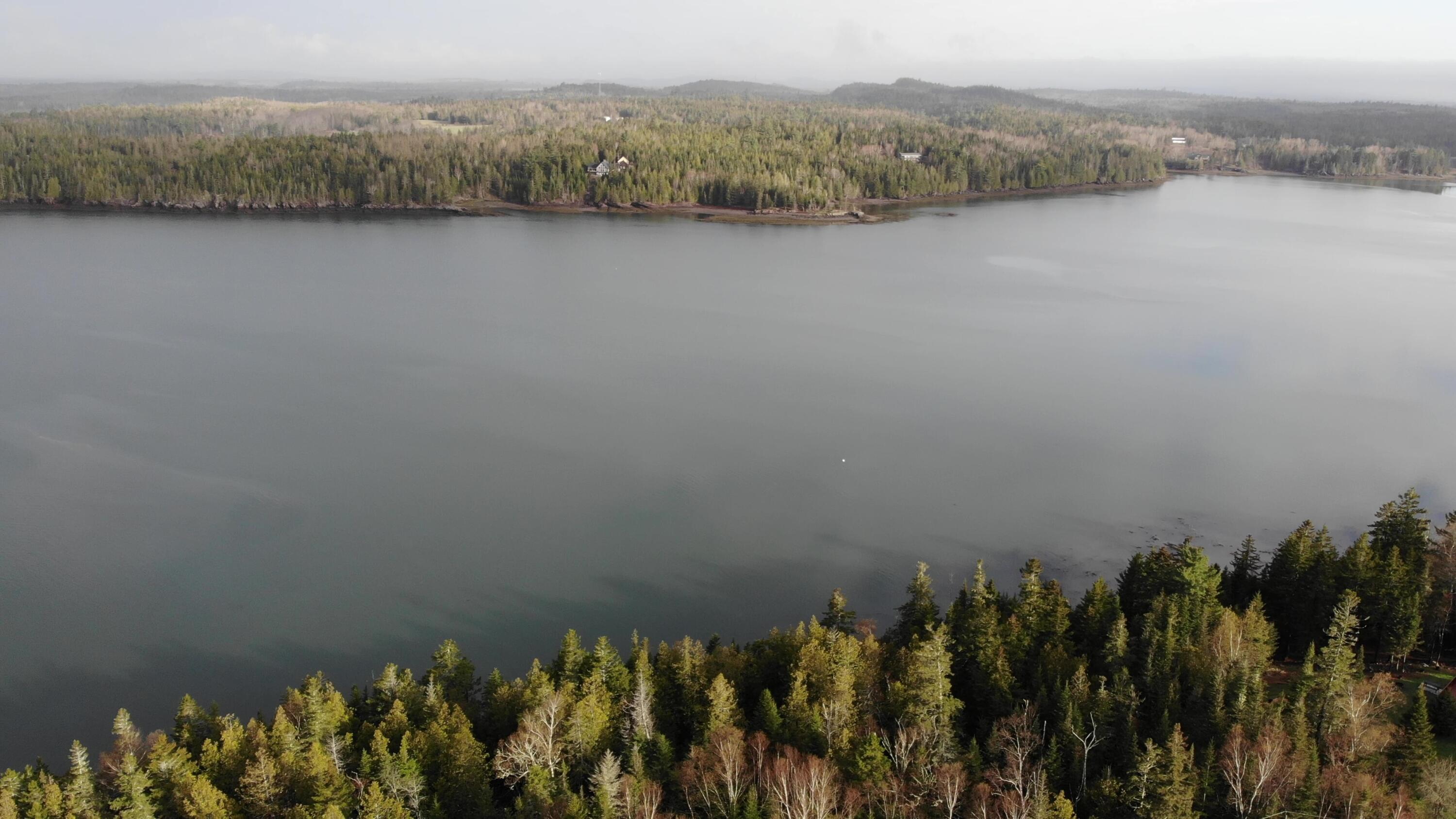 164 Leach Point Road Perry, ME 04667 - Photo 9 of 62 DJI_0100 - frame at 1m41s