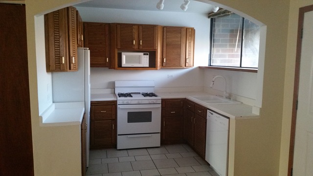 828 South May Street Chicago, IL 60607 - Photo 3 of 9 a kitchen with a stove and a sink