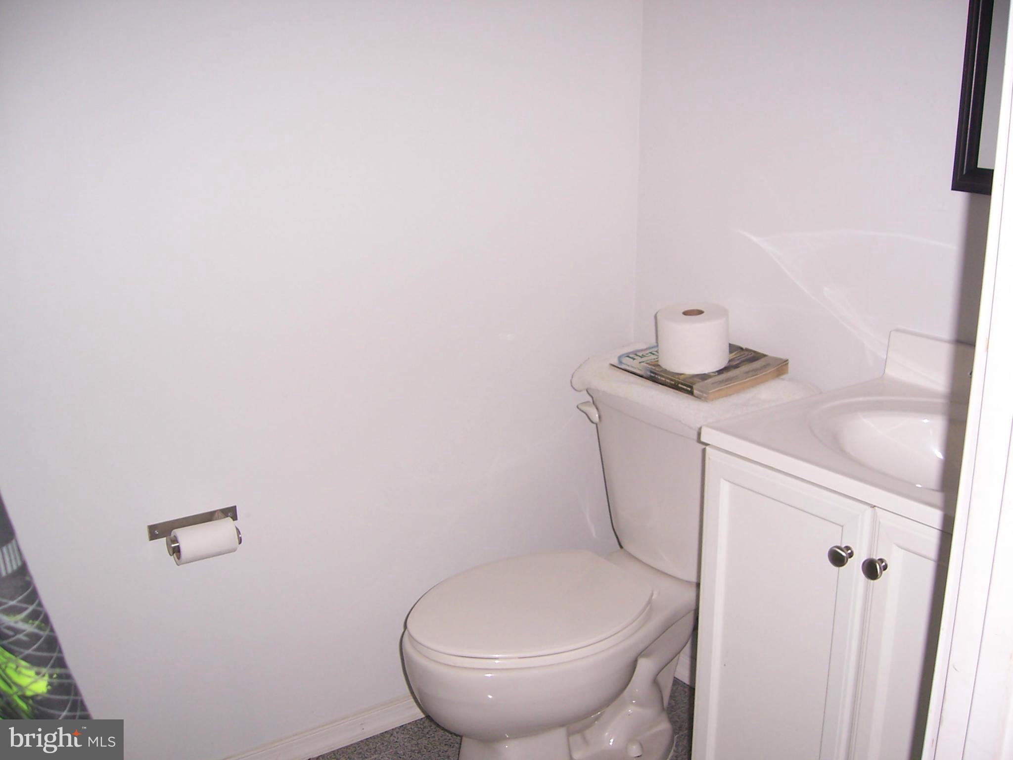 200 Ritter Place Berryville, VA 22611 - Photo 14 of 18 Basement 1/2 Bath