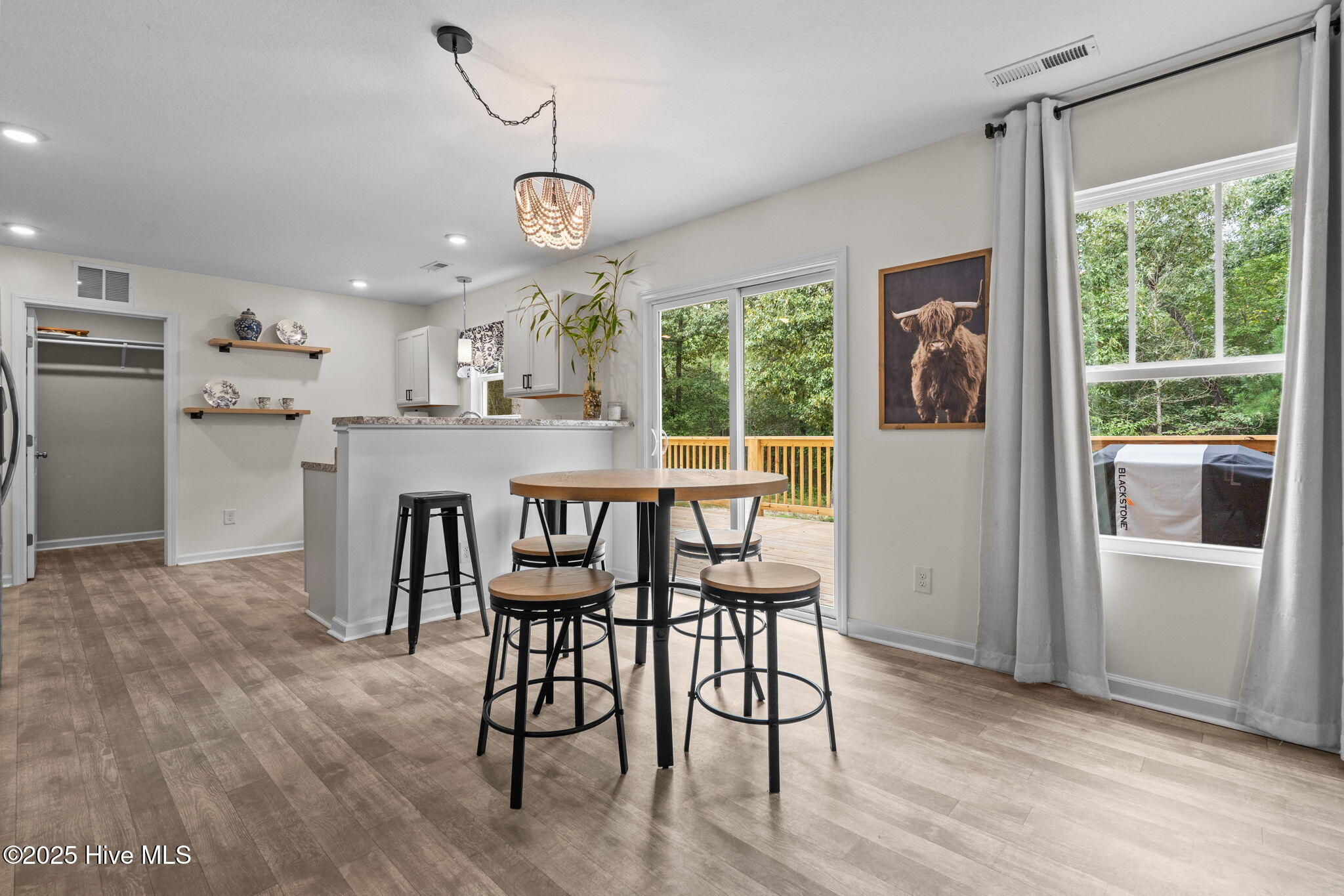 1220 Jackson Springs Road West End, NC 27376 - Photo 12 of 50 20-web-or-mls-DSC04997