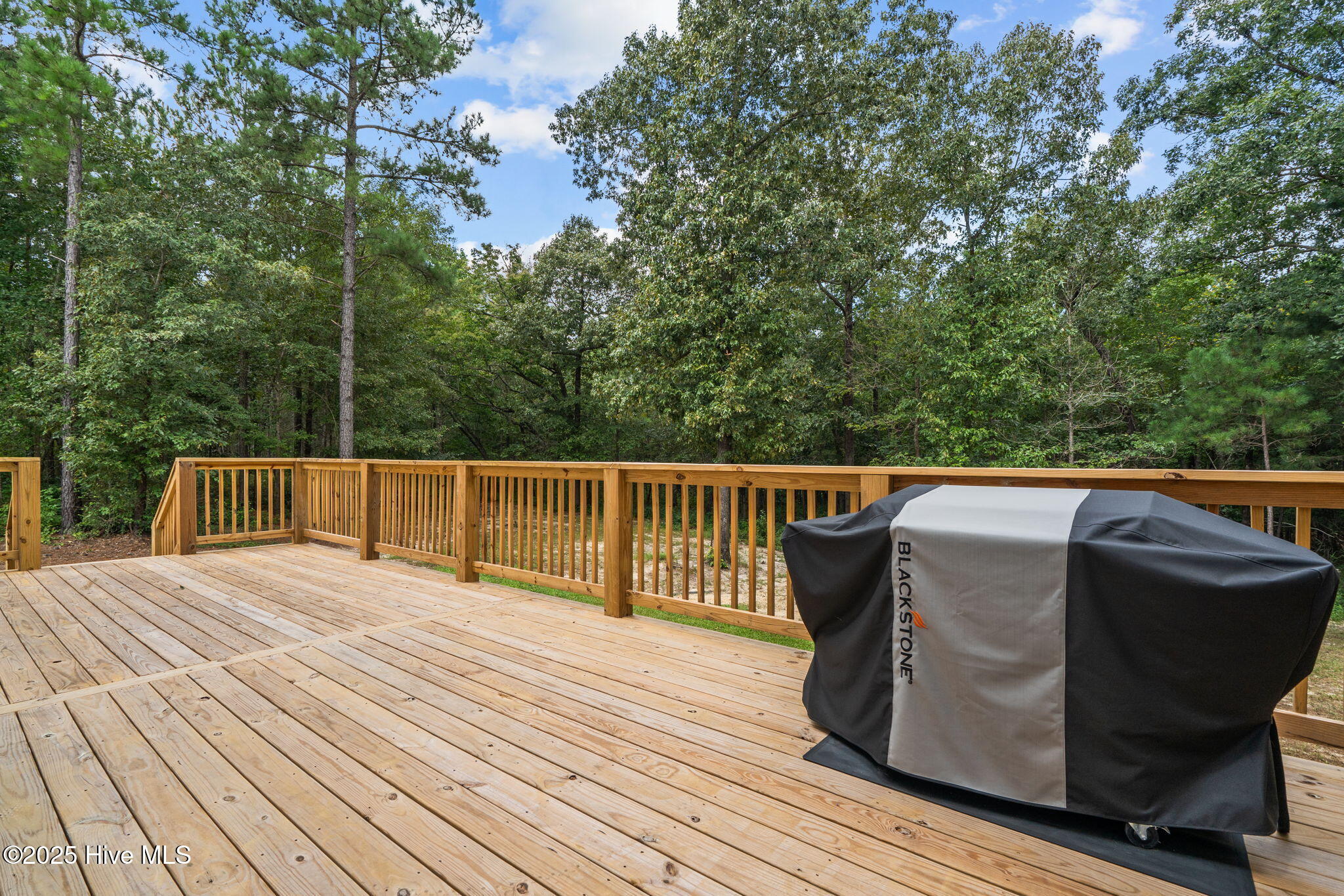 1220 Jackson Springs Road West End, NC 27376 - Photo 42 of 50 51-web-or-mls-DSC05088