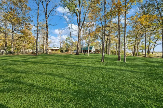 a backyard of apartments with large trees