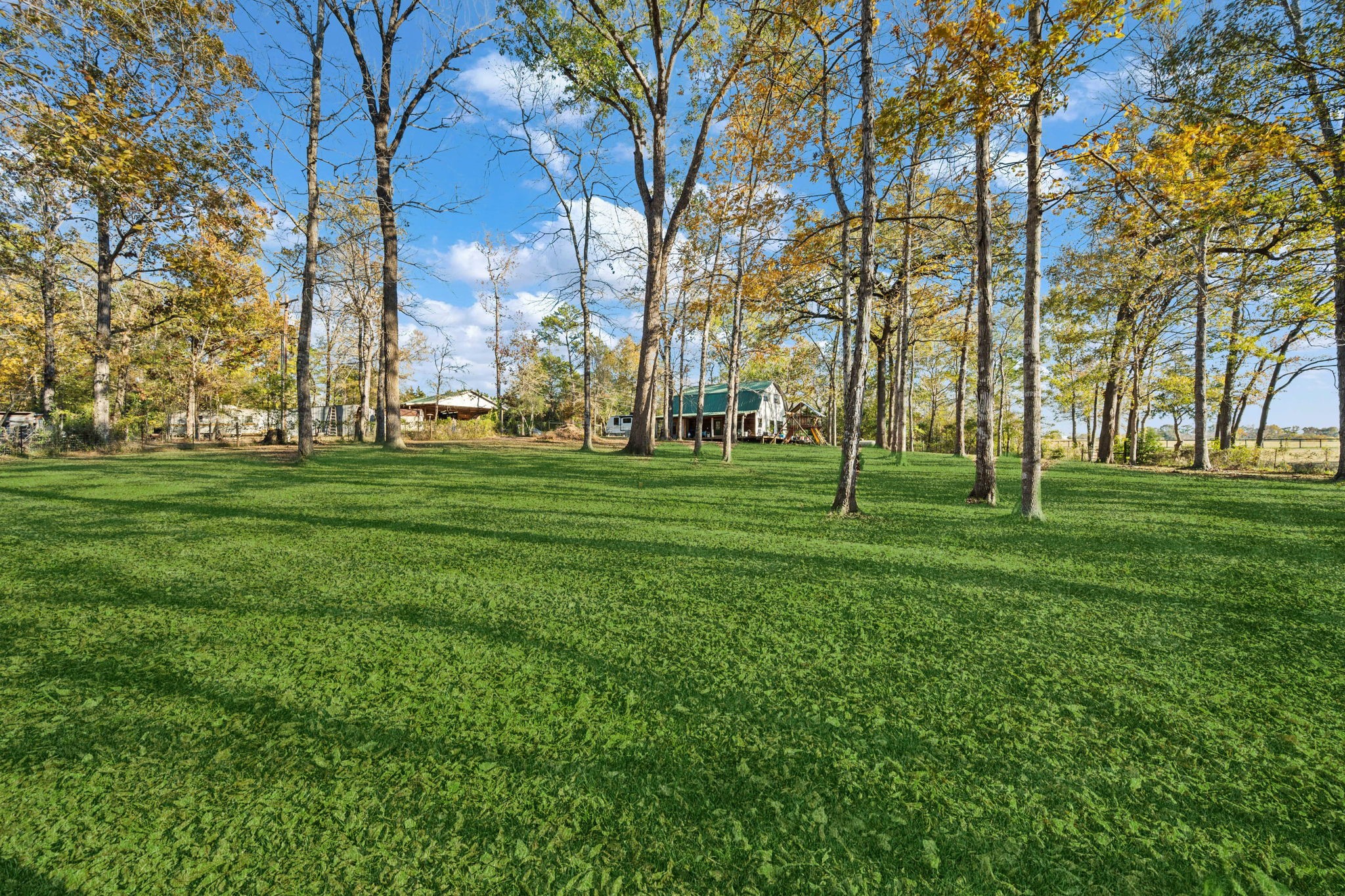 521 Camilla Lake Road Coldspring, TX 77331 - Photo 20 of 34 a backyard of apartments with large trees