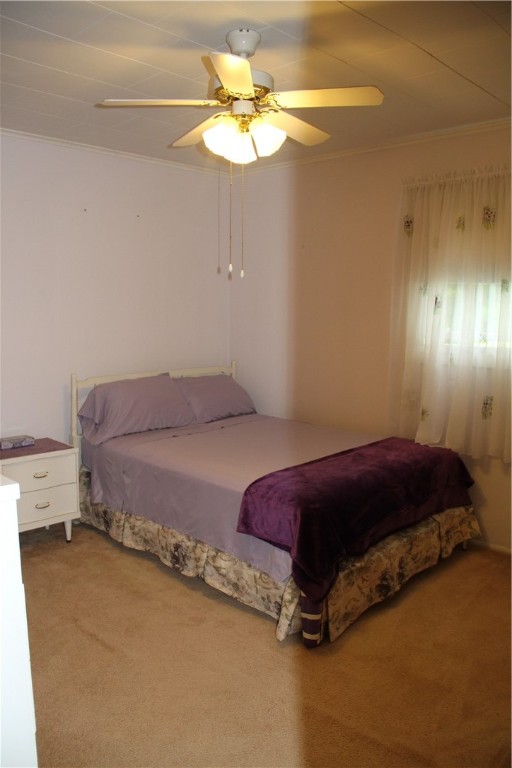 17 Hillview Drive Bath, NY 14810 - Photo 26 of 50