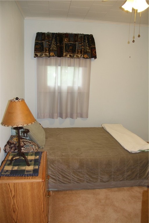 17 Hillview Drive Bath, NY 14810 - Photo 32 of 50