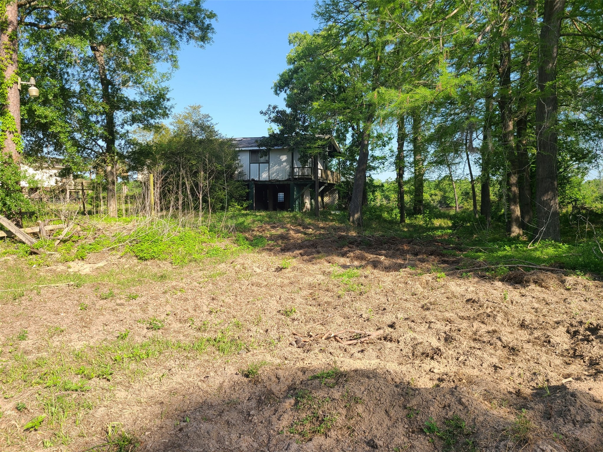 20007 Rio Villa Drive Houston, TX 77049 - Photo 2 of 6 a view of a yard with plants and trees