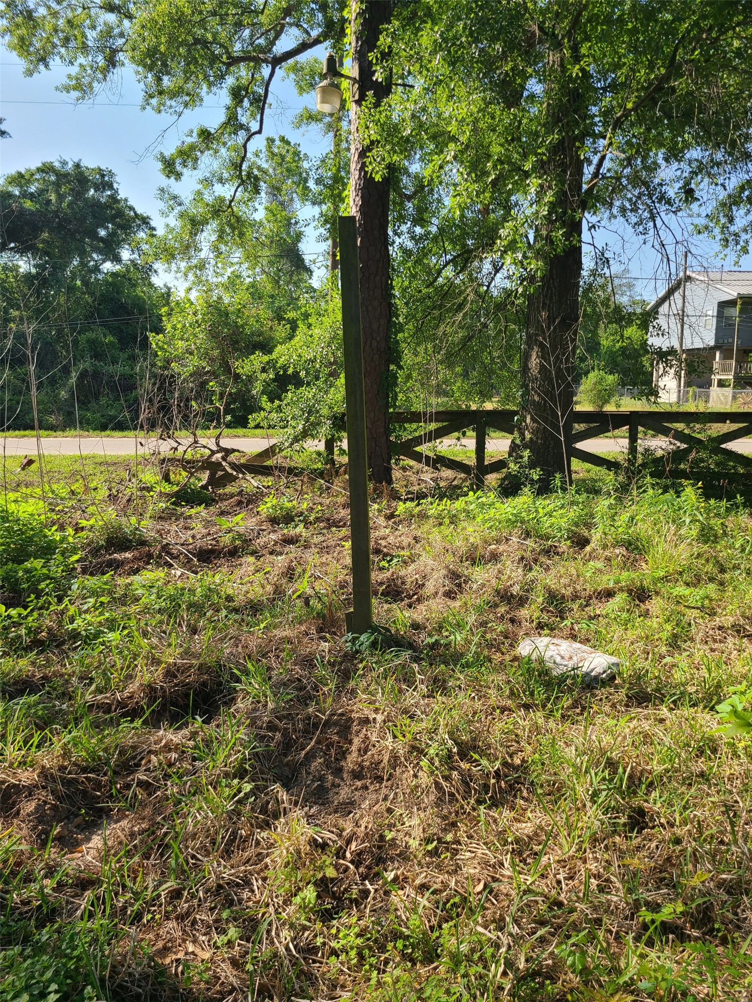 20007 Rio Villa Drive Houston, TX 77049 - Photo 3 of 6 a view of yard with tree
