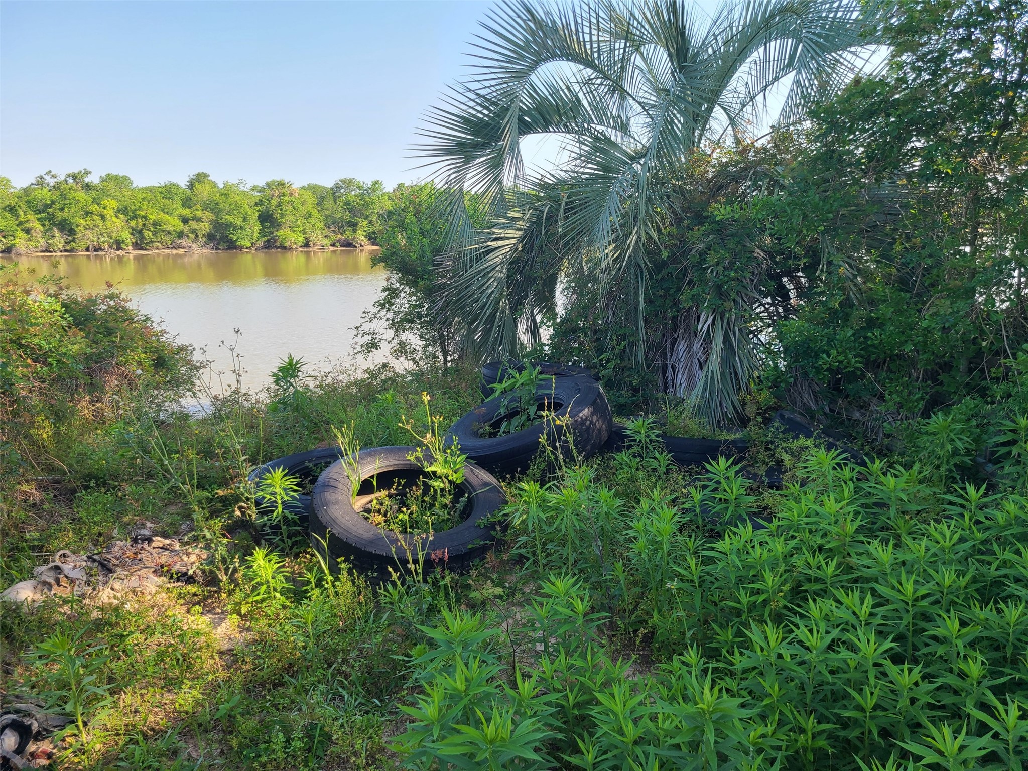 20007 Rio Villa Drive Houston, TX 77049 - Photo 5 of 6 a view of a backyard with plants and lake view