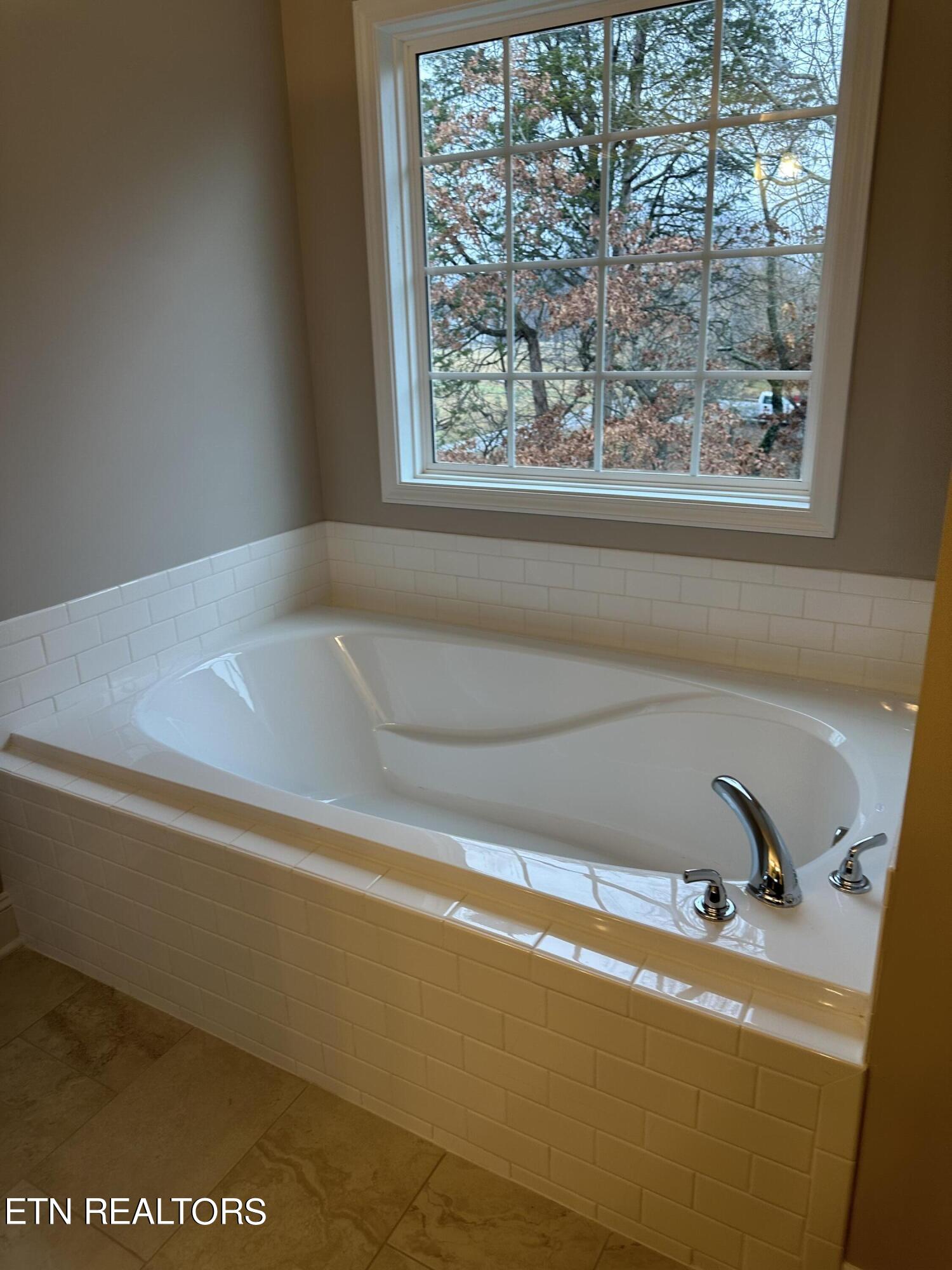 7636 Honey Oaks Road Corryton, TN 37721 - Photo 6 of 8 Soaker tub in primary bath