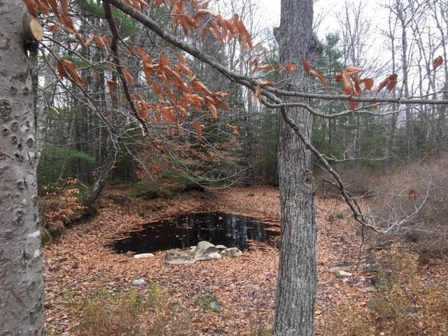 242 Finntown Road Warren, ME 04864 - Photo 18 of 19 Photo