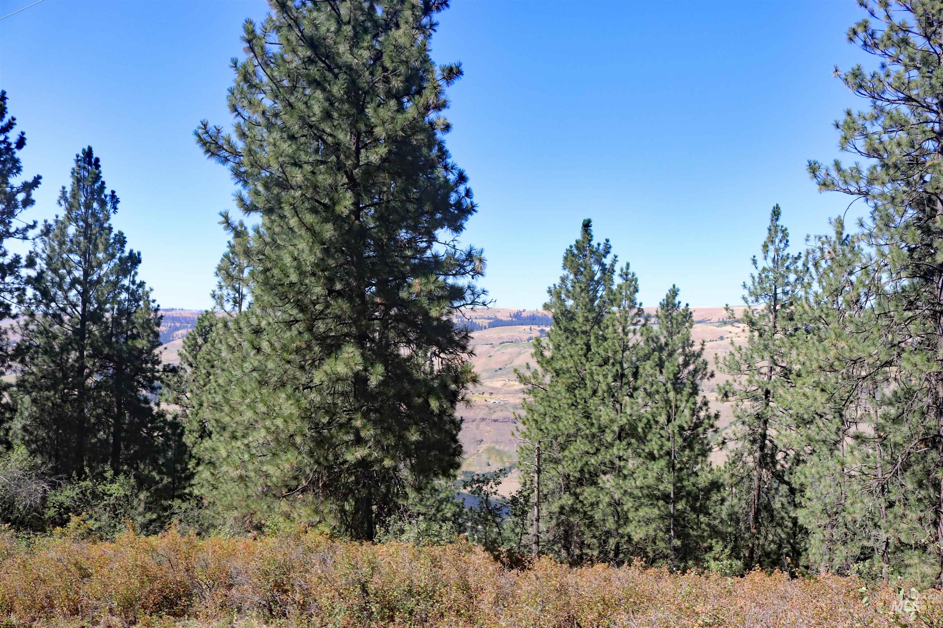 37596 Eberhardt Road Lenore, ID 83541 - Photo 47 of 48