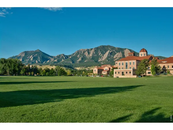 a view of a lush green hillside and a mountain