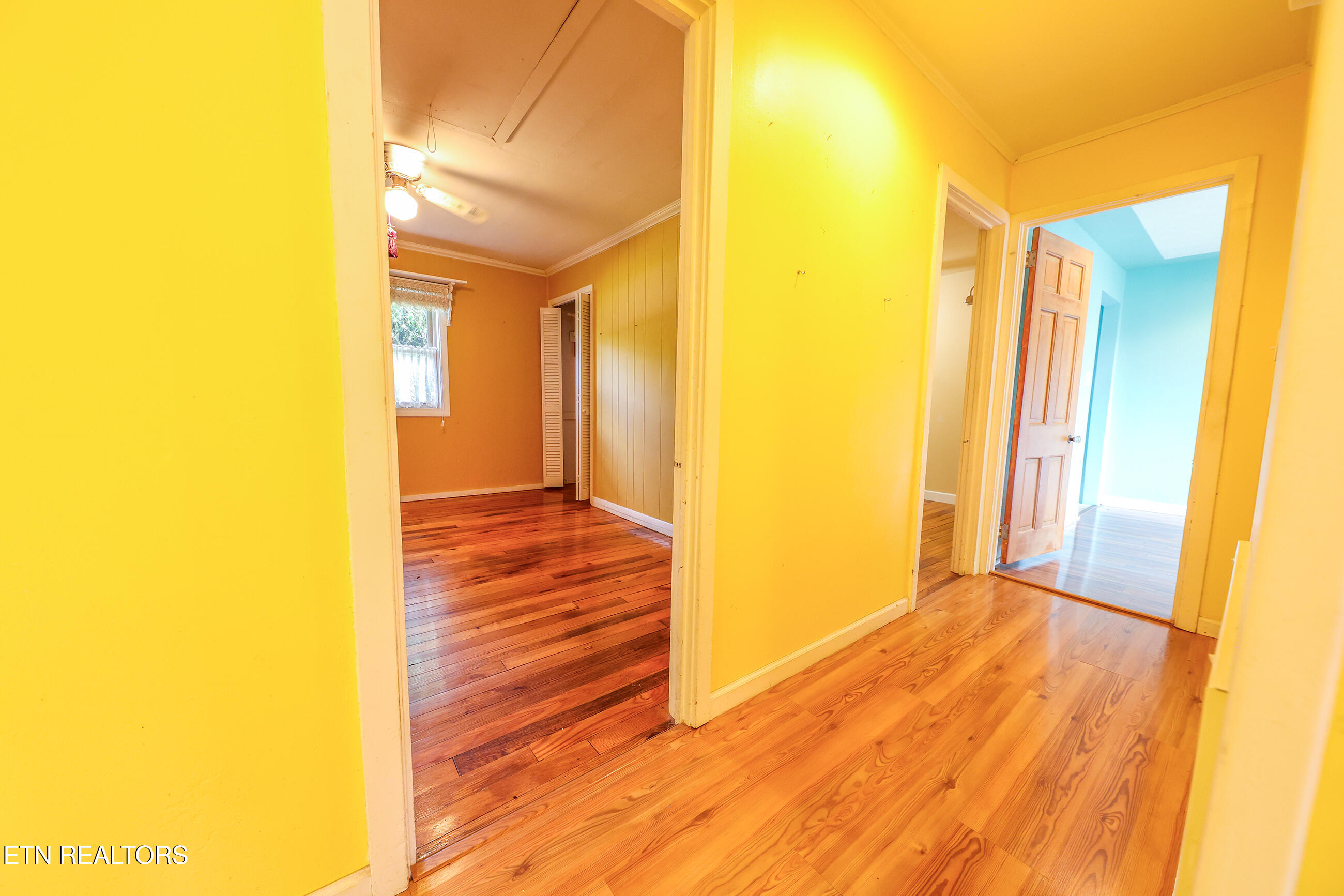 104 Ogden Circle Oak Ridge, TN 37830 - Photo 29 of 40 o179A7732 copy