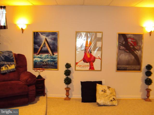 670 Morgan Ford Road Front Royal, VA 22630 - Photo 11 of 25 Basement