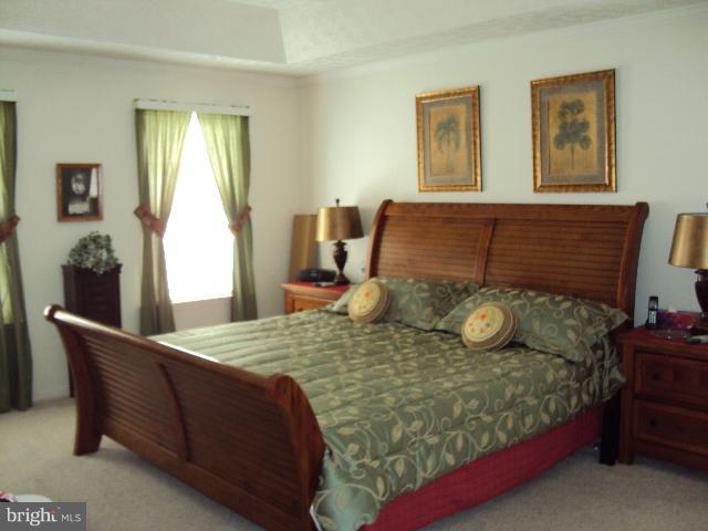 670 Morgan Ford Road Front Royal, VA 22630 - Photo 23 of 25 Bedroom (Master)
