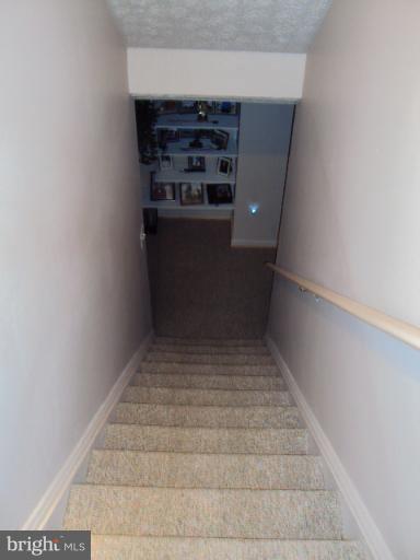 670 Morgan Ford Road Front Royal, VA 22630 - Photo 10 of 25 Basement