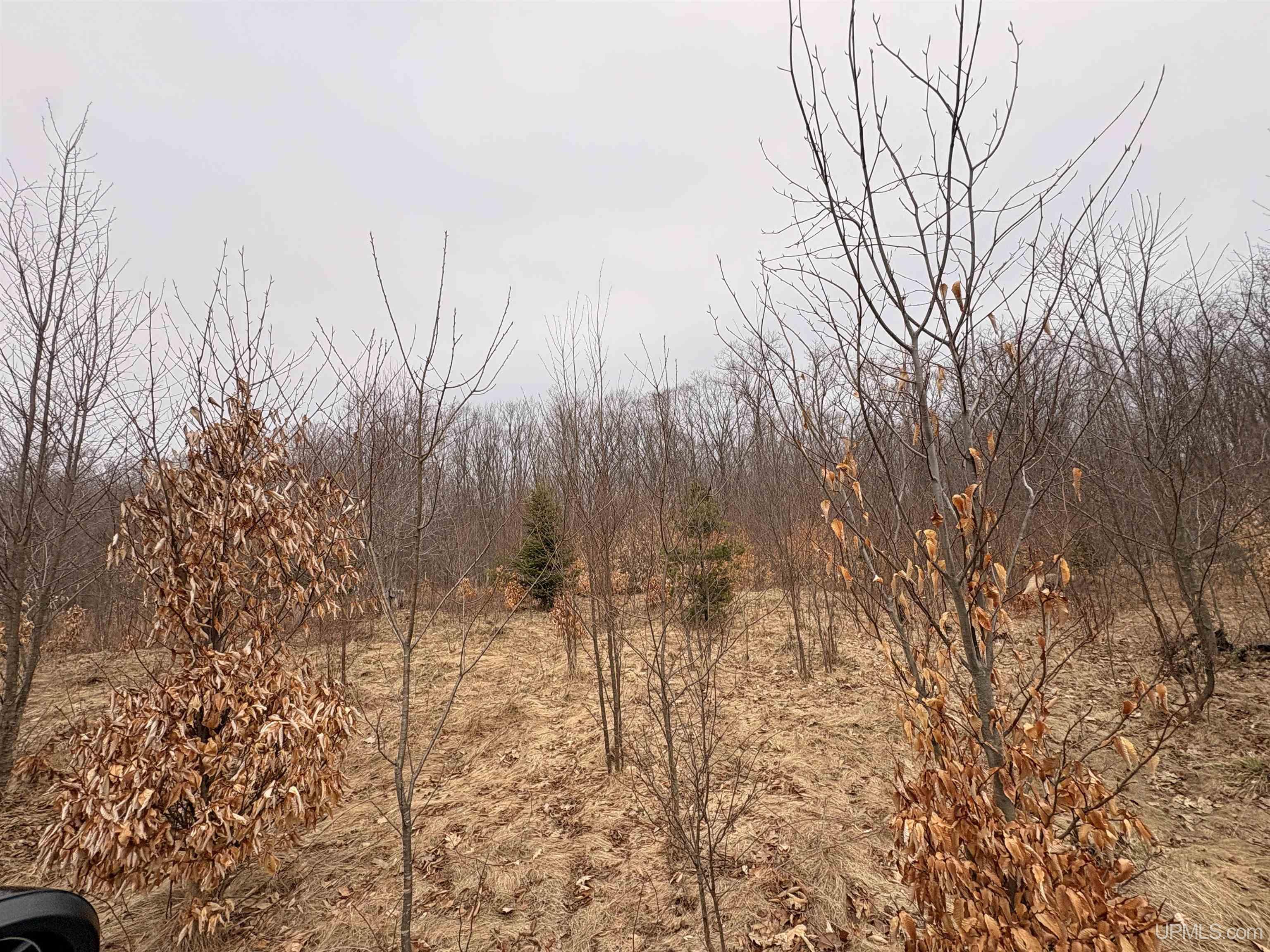 Tbd Tbd County Road Rapid River, MI 49878 - Photo 3 of 11