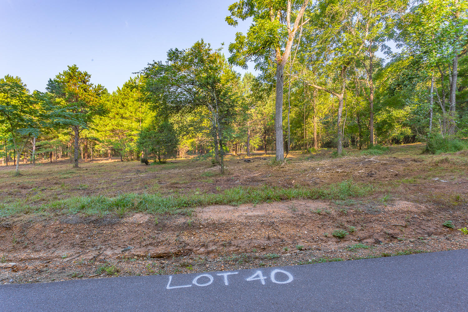 Lot 41 Quarles Road Rocky Face, GA 30740 - Photo 4 of 5 Lots 36 + Rocky Face GA Aerials HD A-4