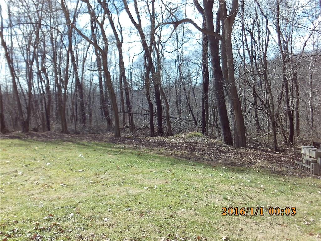 435 Ridgemont Drive Industry, PA 15052 - Photo 21 of 25 Yard