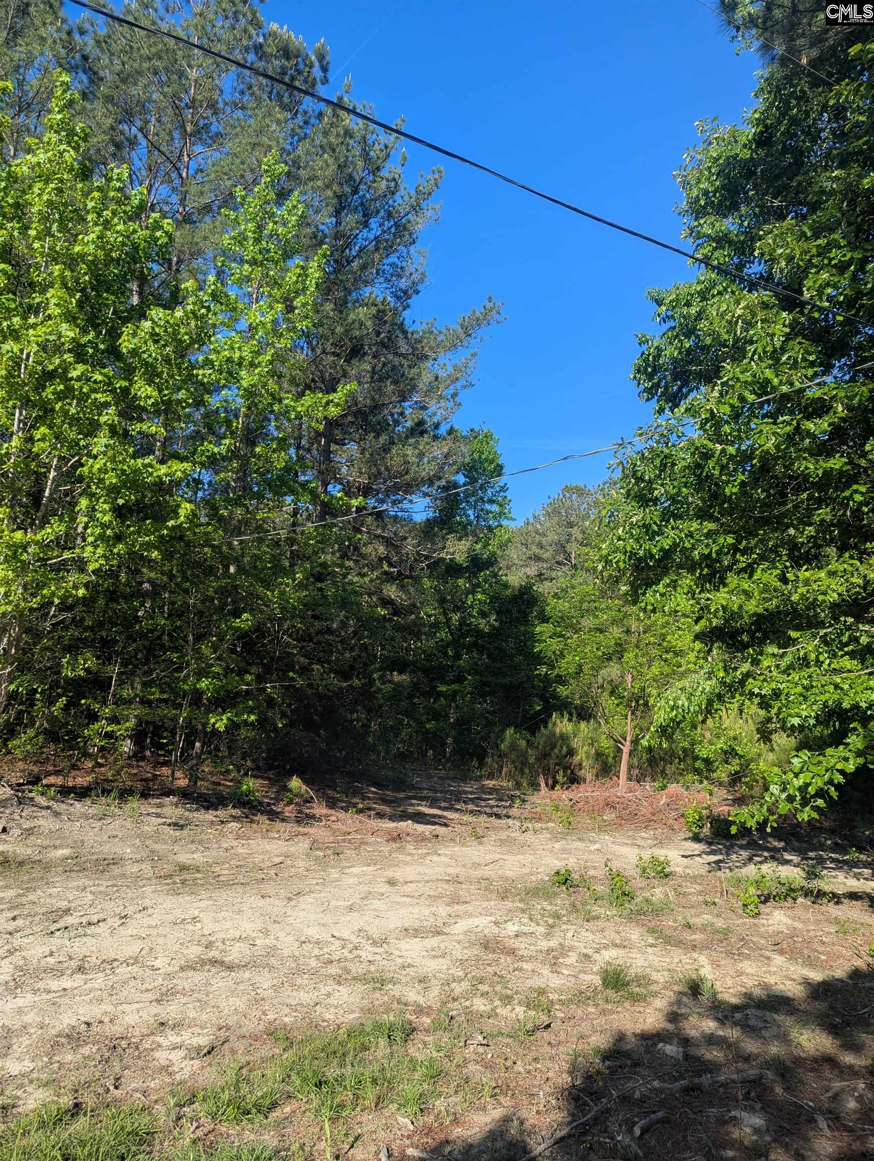 1089 Chestnut Hill Road Elgin, SC 29045 - Photo 13 of 17