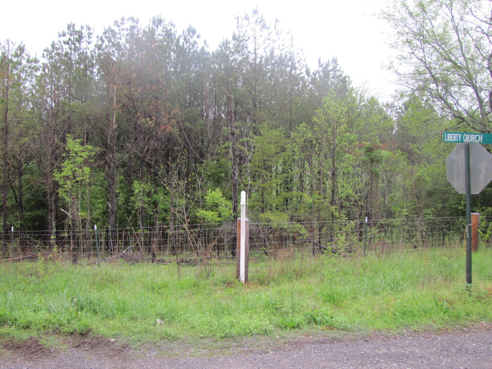333 Liberty Church Road Old Fort, TN 37362 - Photo 1 of 15 IMG_5024