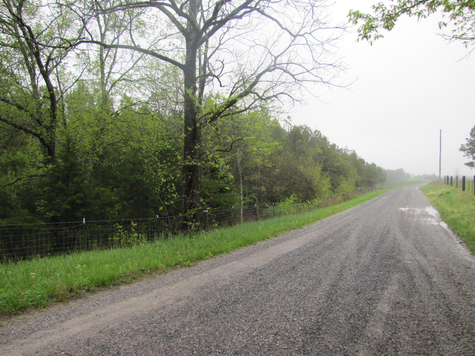 333 Liberty Church Road Old Fort, TN 37362 - Photo 2 of 15 IMG_5025