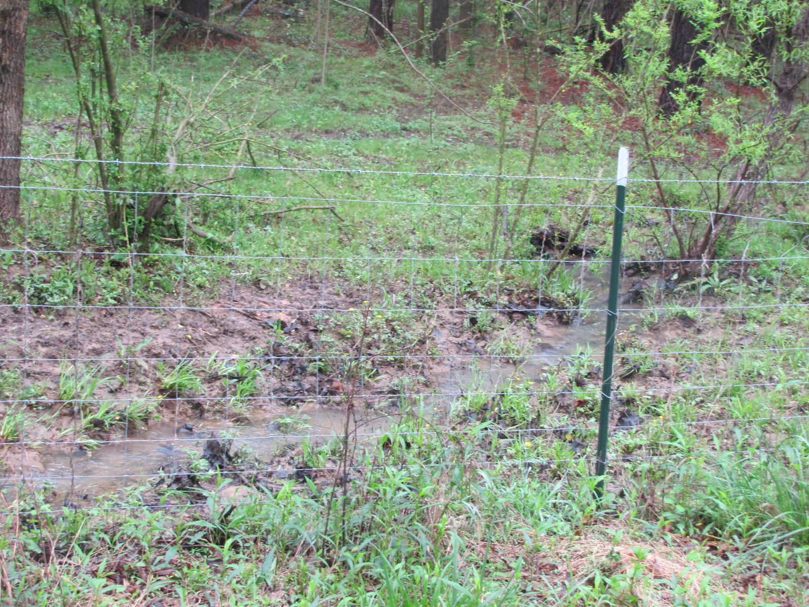 333 Liberty Church Road Old Fort, TN 37362 - Photo 15 of 15 IMG_5038